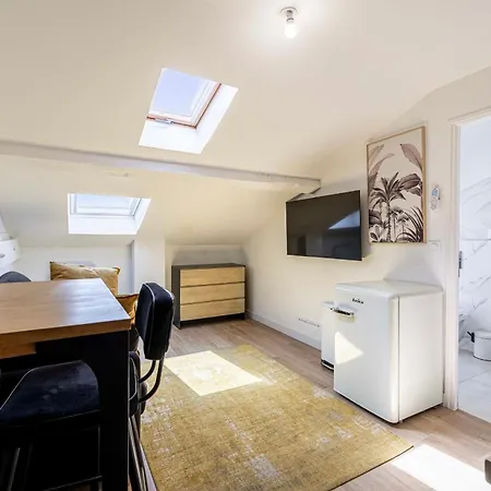 דירה Mim 5 - Cozy With Velux Windows Center קאן